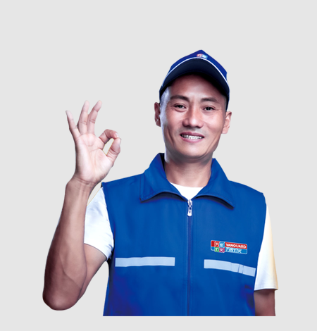 w66郑重承诺